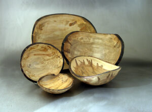ambrosia maple