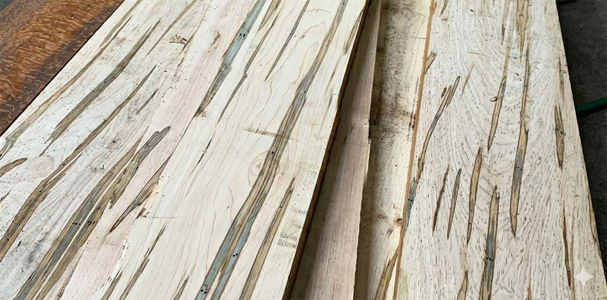 Ambrosia maple boards showing natural streaking and beetle trails in the grain