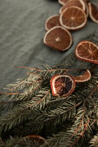 natural gift wrap citrus slices