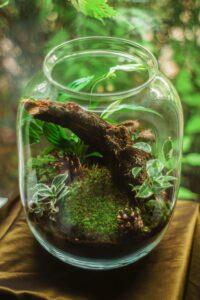 terrarium natural decor